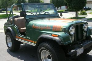 Jeep : CJ Brown Vinyl Photo