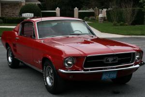 FORD MUSTANG FASTBACK 1967 CLASSIC AMERICAN MUSCLE CAR - MARTI REPORT