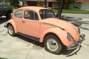 Original Restore VW Beetle Classic Photo