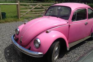 Classic 1972 Volkswagon VW Beetle Original Bubblegum Pink Tax Exempt Photo