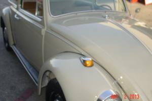 1967 VW Bug Photo