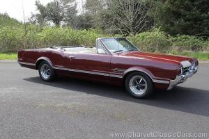 1966 Oldsmobile Cutlass 442 Convertible. 4-Speed. GORGEOUS! See VIDEO.