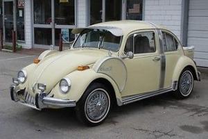 1971 VW Insect Different Beetle Photo