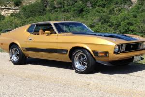 1973 Mustang Mach 1 351 Cleveland, Q Code Car, The last of the Cobra Jets Photo