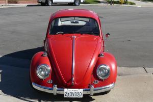65 VW Bug Photo