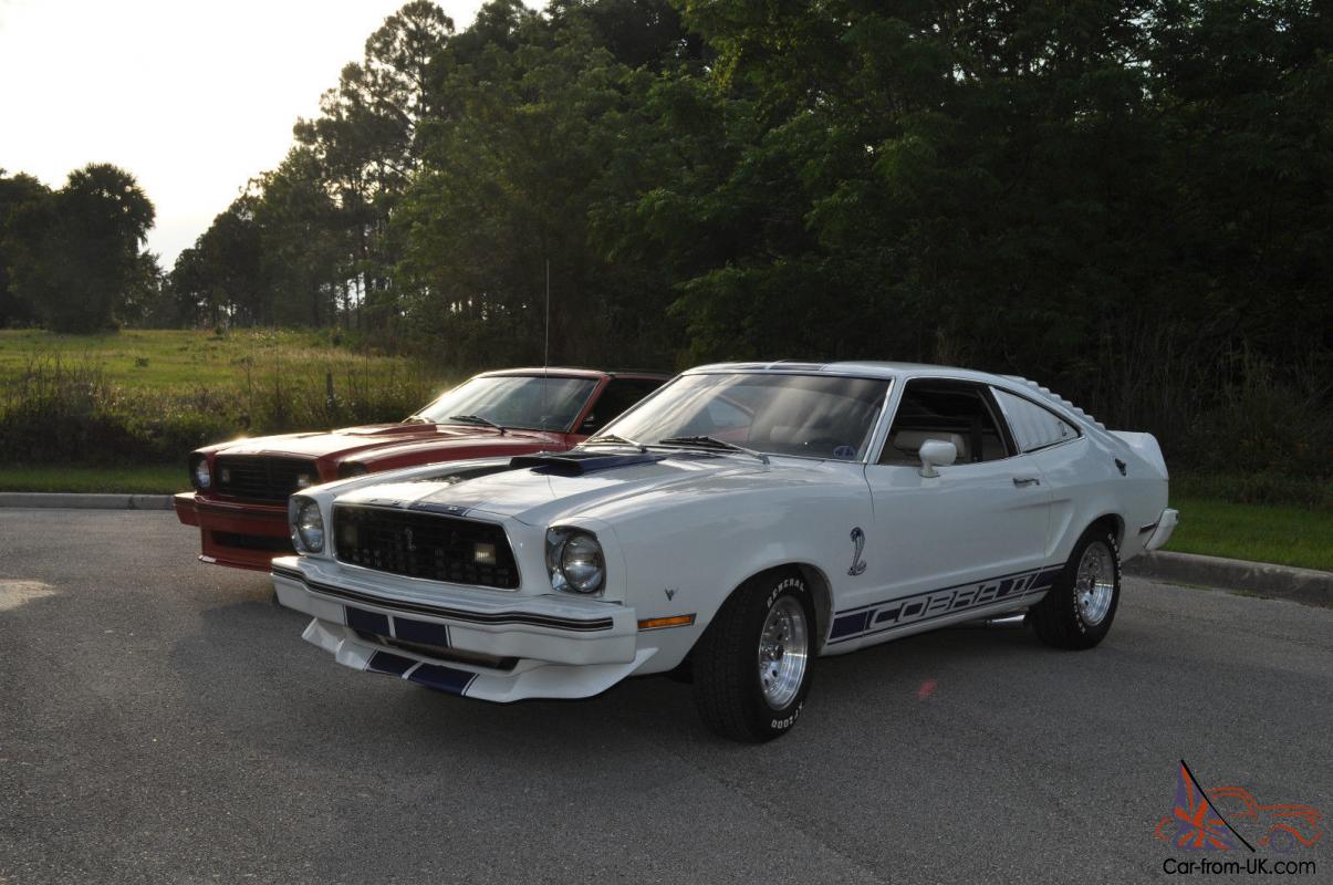 1976 To 1978 Mustang For Sale