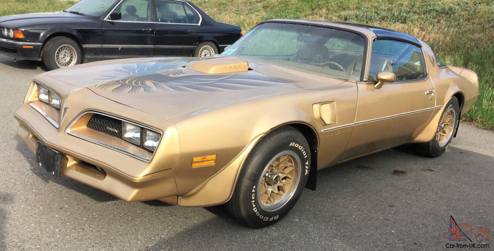 Gold special. Pontiac Trans am Gold. Pontiac Firebird Gold. Trans am 79 Gold. Pontiac Gold Edition.