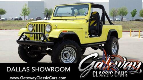 1981 Jeep Other CJ8