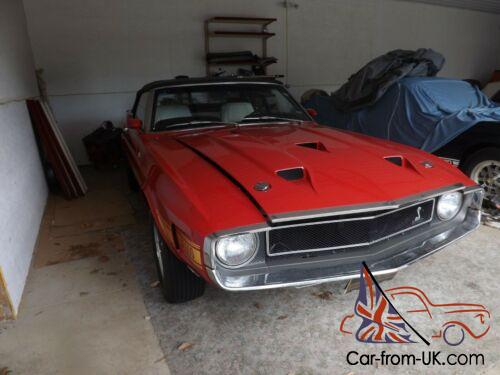 1969 Shelby