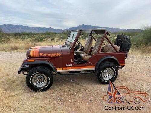 1979 Jeep CJ