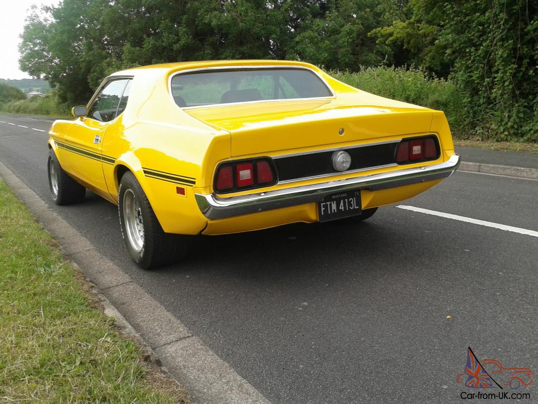 1973 Ford mustang coupe sale #3
