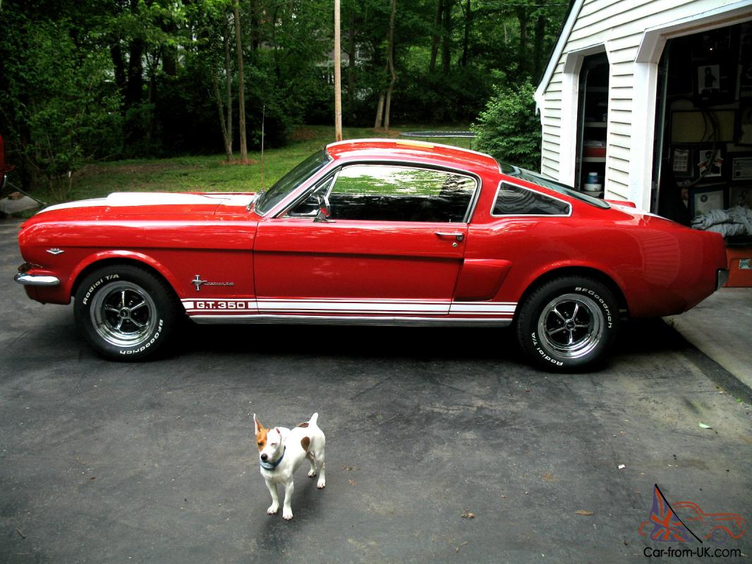 Ford mustang gt 350 clone fastback #9