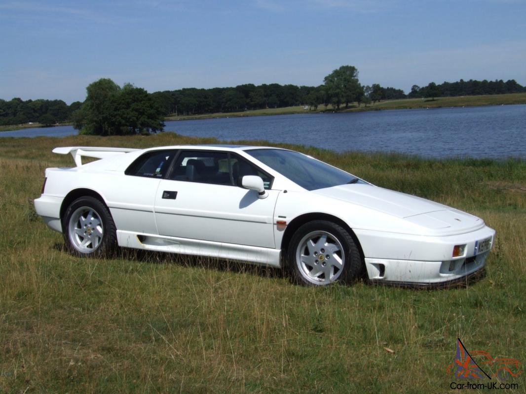 Lotus Esprit 2.2 High Wing Limited Edition only 65 made!