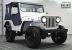 Willys : Jeep CJ-2A