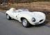 Jaguar Wingfield D Type E type Lynx Proteus XK140 Lister C Type Knobbly XK150 XK