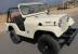1961 Willys 4X4