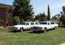 2 White Limousines