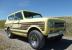 1979 International Harvester Scout