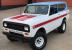 1980 International Harvester Scout