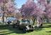 1953 Willys