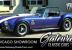 1969 Ford Other Replica