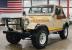 1981 Jeep CJ Renegade