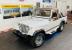 1981 Jeep Other - 4 WHEEL DRIVE - AUTO TRANS - TWO TOPS - SEE VIDE
