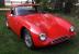  1962 TVR GRANTURA - With Period Race History - Perfect for FIA / Le Mans / etc 