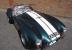 2010 SUPERFORMANCE COBRA