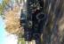1985 AM GENERAL M923 5 TON MILITARY SURPLUS LOCATED IN NJ AND SOUTH CAROLINA