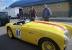 1955 Austin Healey 100-4 Race Car