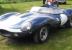 D Type Jaguar