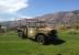 Dodge M37 1951 100% Original Untouched       NO RESERVE!!!    " Power Wagon "