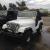 1972 RARE AMC JEEP CJ5 CJ-5 RENEGADE 5.0 304 V8 4X4 T-15 DANA 44 LIMITED SLIP