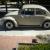 1967 VW Bug    A True Survivor