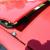 Keywords: Corvette Camaro Mustang Exotic Ferrari