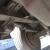 Chevrolet : G20 Van G15 Vandura