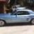 Mustang in Maleny, QLD