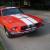 1967 shelby GT350 (Recreation, clone) 1968 Mustang Fastback 302 cobra