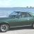 AMC  AMX 390 cubic inch, 4-speed 3.54 posi,  Go-Pack, seen at Garlits mopar show
