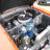 1966 Mustang GT350 Tribute 302FORD Racing Engine 5 Speed 9inch