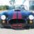 Replica/Kit Makes : Shelby Cobra Roadster