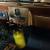 Willys Rat rod