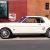 Ford : Mustang Coupe