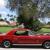 Shelby Cobra GT 350 Custom Tribute Resto Mod 302 Auto