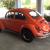 Unbelievable Bug with looks to spare