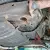 Oldsmobile : Eighty-Eight royale