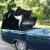 Lincoln : Continental Convertible Suicide Doors