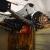 Plymouth : GTX Belvedere II