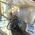 Cadillac : DeVille Base Hardtop 4-Door
